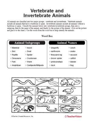 Vertebrate and Invertebrate Animals Printable (3rd - 5th Grade